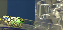 澳门金沙官网摇奖现场将新增最新技术的Led液晶显示屏